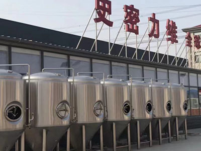 盐田精酿啤酒设备厂—如何判断精酿啤酒设备的密封件需要更换?
